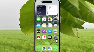 How to Set Triple tap zoom Controller action as Show menu when Zoom is On in iPhone 14 Pro