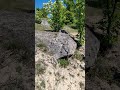 а вы, видели обработанные скалы? #непридуманныеистории #жизньвболгарии #мегалиты #природа #туризм