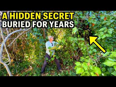 The Most RIDICULOUS Backyard Discovery Yet - You Won’t Believe The Owners REACTION!