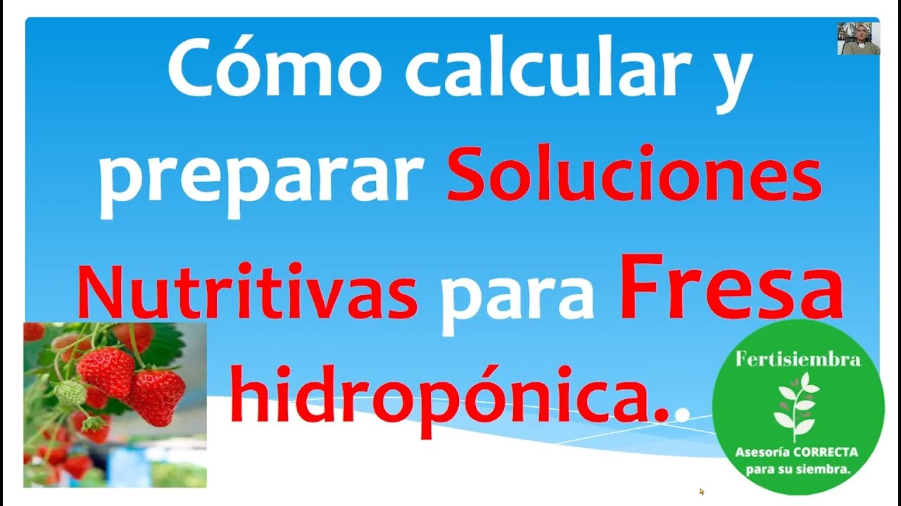 Cómo calcular y preparar soluciones nutritivas para fresa hidropónica. PARTE  1