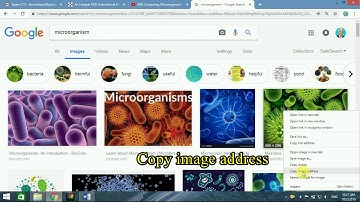 CIDS Tutorial 20 Insert video in DLP activities