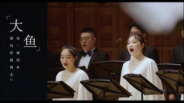 合唱版《大鱼》，和周深不一样的感觉，空灵广阔！Theme song of Big Fish & Begonia cover by XIAN Symphony  Orchestra Chorus