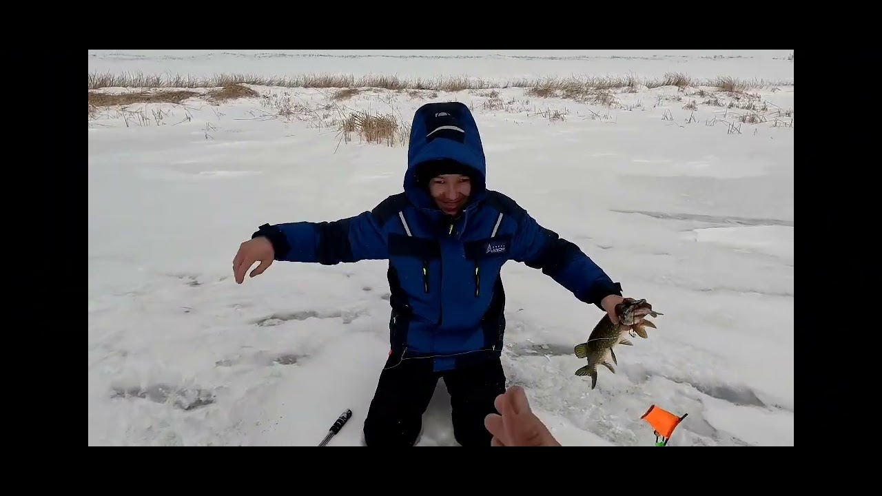 Терсакан. #рыбалка #рыбалканаозере #рыба #балык 