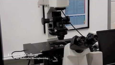 Nikon Ti Eclipse Confocal Microscope - Fluorescence Imaging