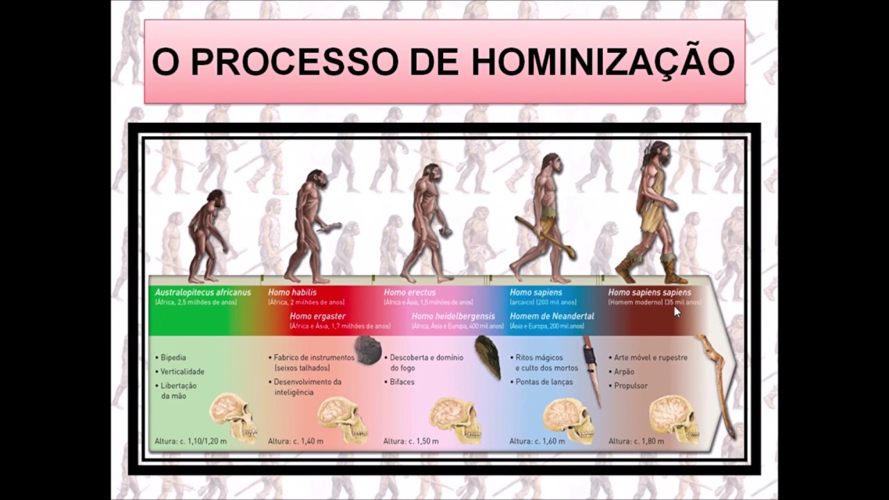 História 6º Ano Origens Da Humanidade Pré História Youtube