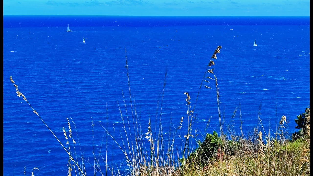 MARINA DI CASTAGNETO DONORATICO