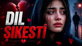 Dil Şikestî - Cover