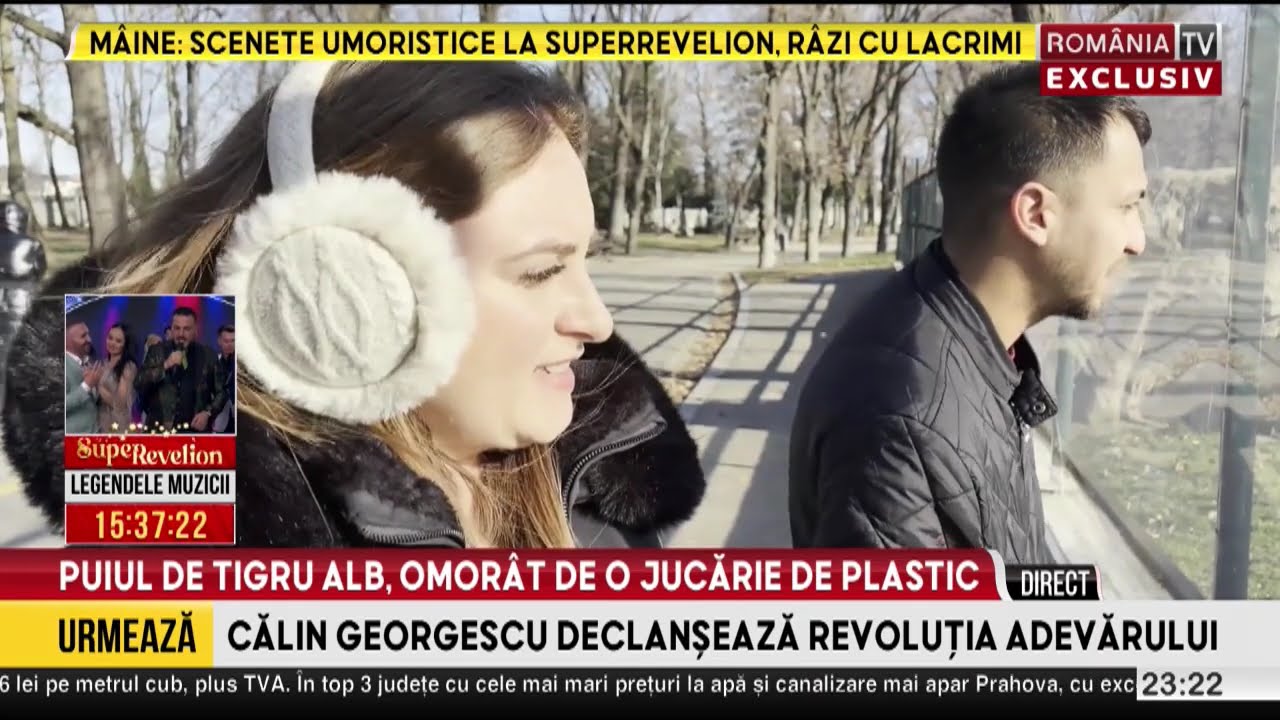 Un pui de tigru alb a murit la grădina zoologică din Craiova