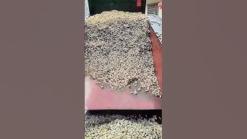 The cleaning process of peanuts is worth sharing