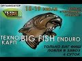 Ловля Трофейного Карпа. Big Fish Enduro. Технокарп.