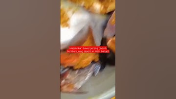Thumbnail of Masak ikan bawal goreng dikasih bumbu kuning seperti ini lezat banget