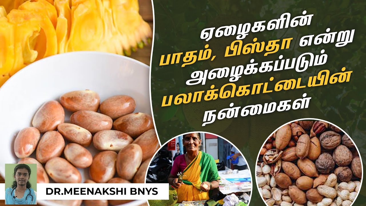 பலம் தரும் பலாக்கொட்டையின் மருத்துவ பயன்கள் | Palaa Kottai Benefits | Endrum Nalamudan