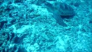 Gili Diving - July 2015 - M83 - Wait Kygo Remix