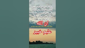 سورة لقمان #allah #اكسبلور #المصحف #god #دويتو #حالات_واتس #الله #duet #مؤمن #دين #نورالله #muslim