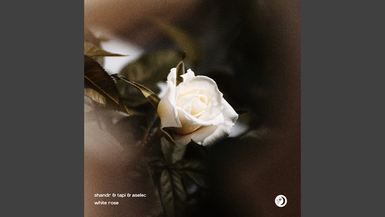 Watch White Rose on YouTube Watch White Rose on YouTube