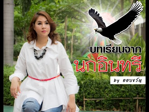 บทเรียนจากนกอินทรี​/ออบขวันน์ พลอยนภัส​  เรื่องเล่าสร้างแรงบันดาลใจ