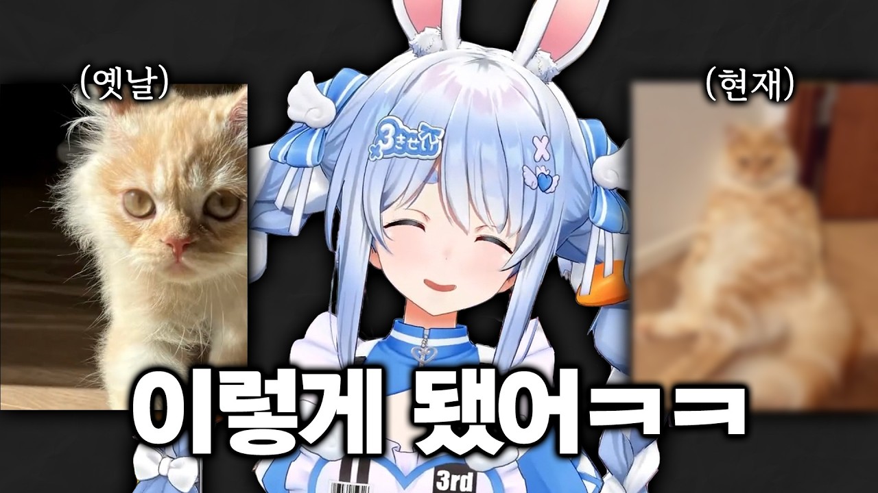 역변한 페코라네 고양이ㅋㅋ [홀로라이브 // 우사다 페코라]