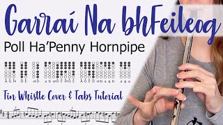 Poll Ha'Penny Hornpipe | Garraí Na bhFeileog IRISH TIN WHISTLE TABS TUTORIAL