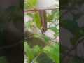 What is this?
