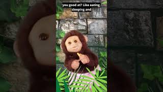 Meet Sami: A Friendly Conversation with the Hilarious Monkey Puppet!