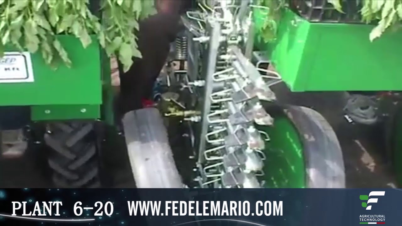 Finger Transplanter-planting tomato-Trapiantatrice per piantine a radice nuda -pomodoro