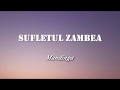 Mandinga - Sufletul zambea (Versuri/Lyrics)