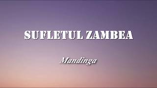 Mandinga - Sufletul zambea (Versuri/Lyrics)