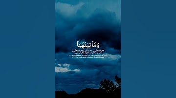 رزكار الكردي - سورة طه #قرآن #allah #allahuakbar #quran #الحمدلله #لا_اله_الا_الله # #رزكار_الكردي