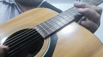 Aerolínea Carrillo.  Guitar