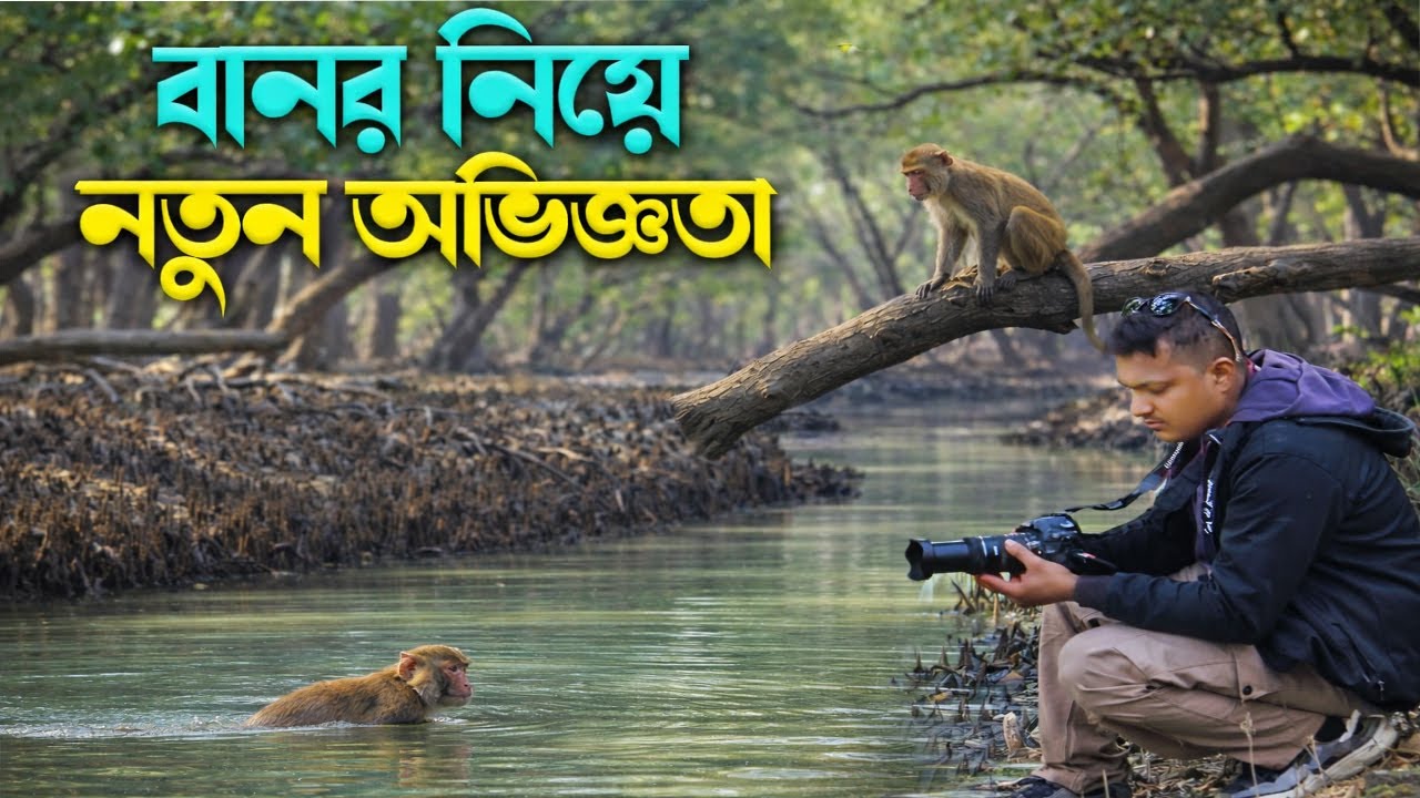 গভীর জঙ্গলে এক নতুন অভিজ্ঞতা | Sundarbans Monkey Vlog