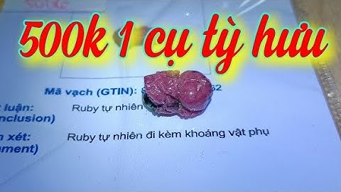 Đá quý ruby Tỳ Hưu rất đẹp 😍 500k 1 cụ có giấy kiểm định kèm theo freeship toàn quốc