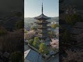 Kyoto by Drone — Temples & Torii Gates