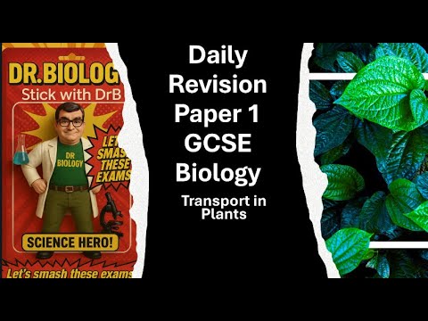 GCSE Biology Paper 1 Daily Revision - TRANSPIRATION