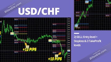 Forex Success 2019|Fibo Quantum Scalper|How it Works?
