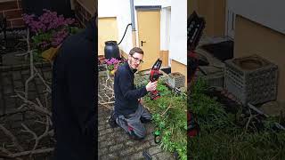 EINHELL Akku - Astsäge GE-PS 18/15 Li BL Test @Einhell_DACH @Toolbrothers #einhell #jever #diy