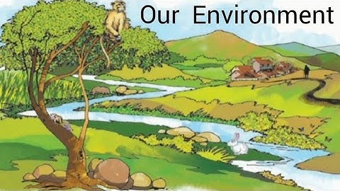 Environmental studies (STD:3) ch. no. 1 Our environment