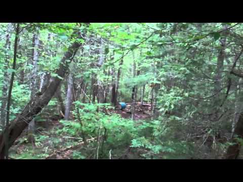 Maine Black Bear Hunt Recap - Spruce Mountain Guid...