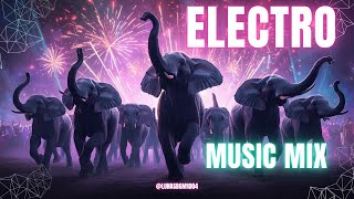 [playlist] EDM으로 평일도 미친 파티처럼! | 200BPM 하이텐션 비트 컬렉션 | 200BPM High-Energy EDM Playlist