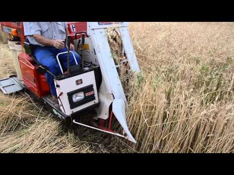 MINI KOMBAJN YANMAR - test č. 6