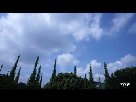 Asahi Shimbun Meiji Jingu Gaien live cam preview
