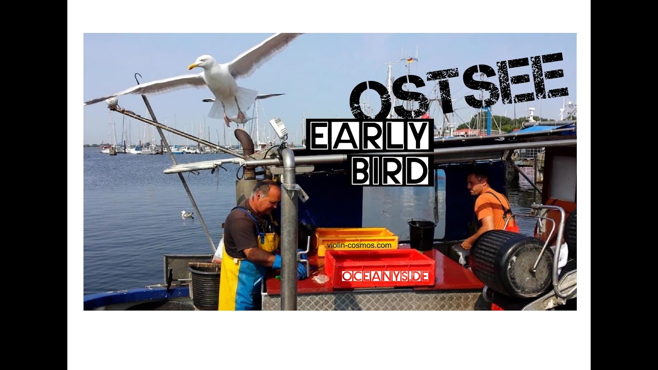 Rock Geige-Musikvideo von Oceanys-Rock."Ostsee-Early Bird"