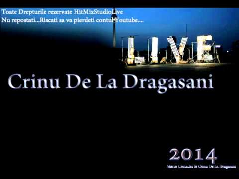 Laur de la Domnesti - Taicutu meu cu griji multe