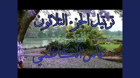 عامر الكاظمي سورة النصر