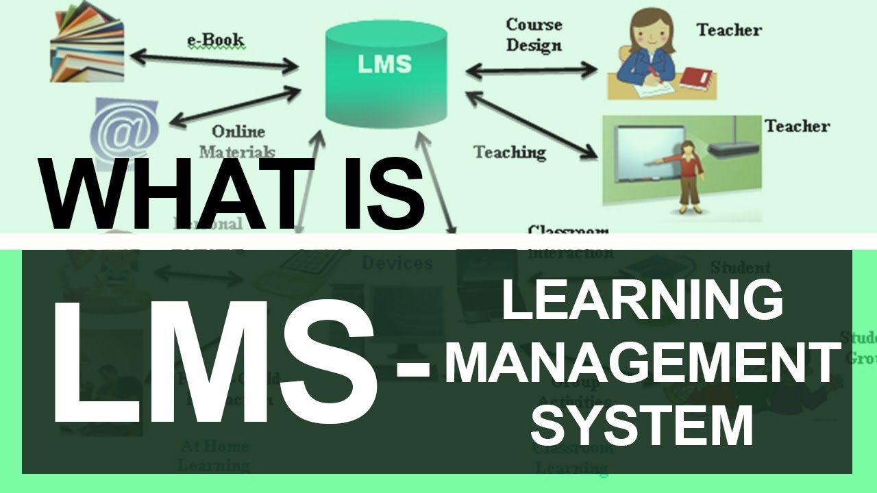 Learning Management System LMS