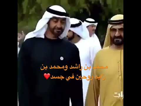 محمد بن زايد يستقبل اخاه محمد بن راشد قصر المقام الله يحفظهم ويطول عمرهم