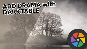 Add drama to your landscape photos with Darktable - #8 Misty Trees on Rydal Water