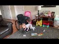 Paraplegic Parenting: Lifting a Baby Off the Floor