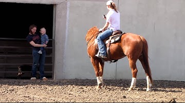 Valley View Ranch - Little Pep - barrels