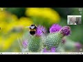 Microsoft Office 2024 Installation &amp; Free Licensing