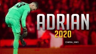 Adrian - Insane Saves & Reflexes - HD